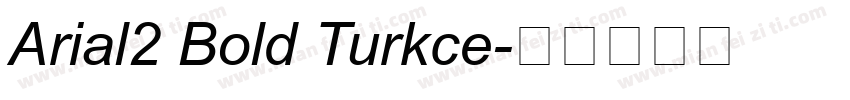 Arial2 Bold Turkce字体转换